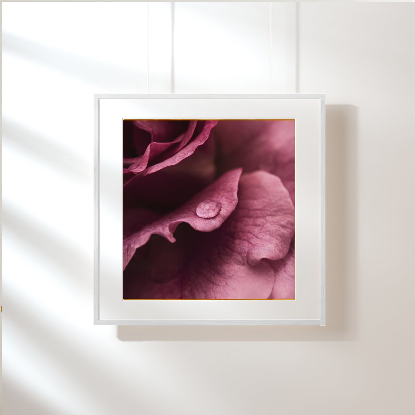 The Morning Dew; Framed & Mounted Print