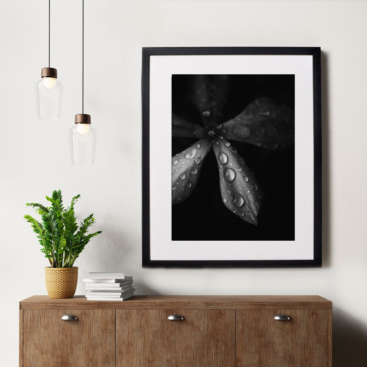 Adorned with waterdroplets; Framed & Mounted Print