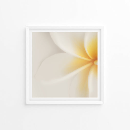 Symbol of Luck; Framed & Mounted Print